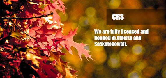 CRS is a Collection Agency based in Calgary AB, Canada